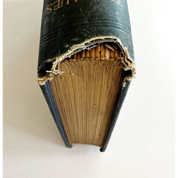 The Blues And Brigands MM Blake 1898 2nd Edition Les Vauxbelets RARE Antique C97 - Picture 10 of 10